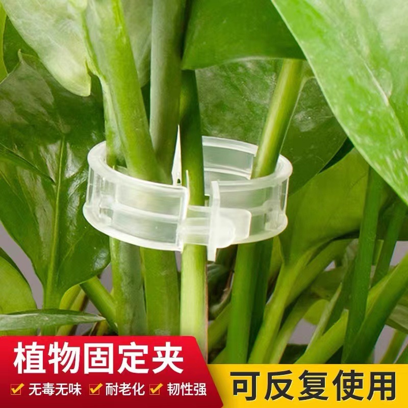 Plants and fruits Plastic plastic binding vine clip buns and hanging…