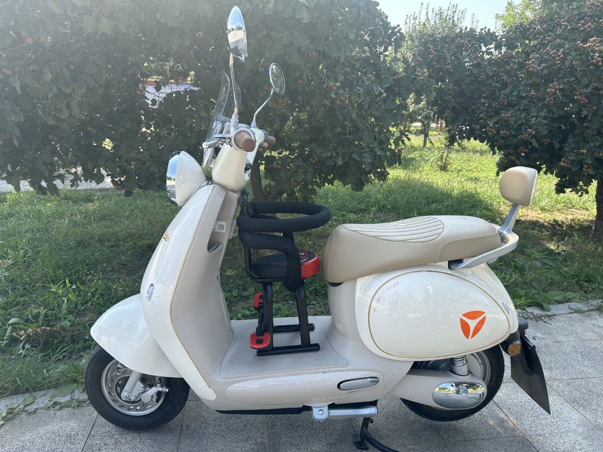 Electric Vehicle Child Seat, Electric Motorcycle Small Stool Seat, Foldable Footrest Seat, Detachable Fence Seat, Hot-Selling