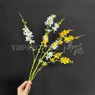5�����m�����滨�Ҿ�ܛ�b��ˇ�廨�[����Y�ٻ� �����羳���Q���l