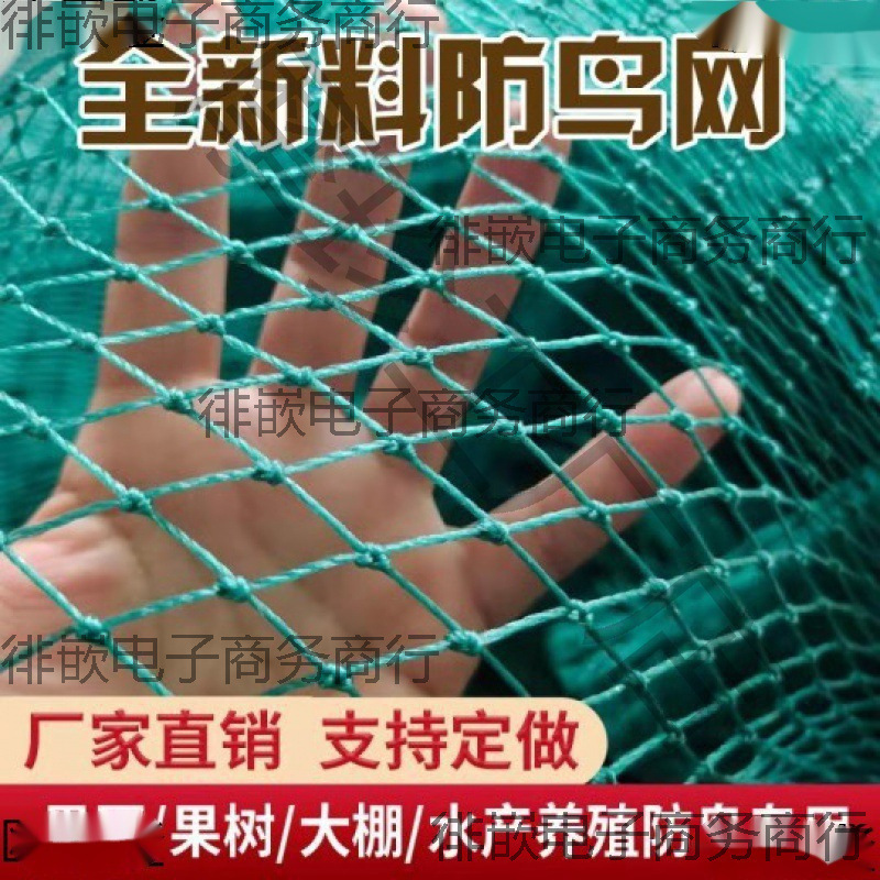 防鸟用网果树樱桃葡萄大棚果园农用防鸟网鱼塘养殖天网尼龙老化