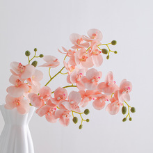 ���T�����m���滨�ٻ��m���͏d���g�b�Ʒ�廨�[�������֧�����m