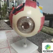 ţ������ʷŴ�ģ�� ���� ţ����Ŵ�ģ�� ����̌Wģ��