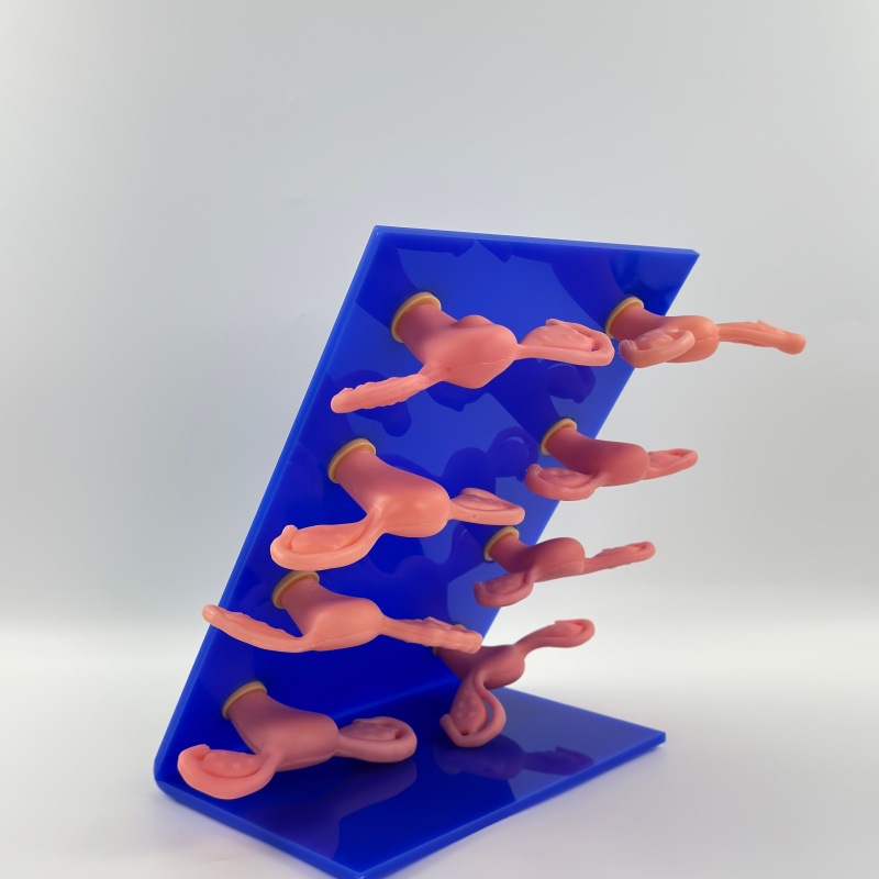 ��ѧ���� ���ƿƽ̾� ҽѧ�����ӹ�ģ�� 8�����ֲ����ӹ�����ģ��