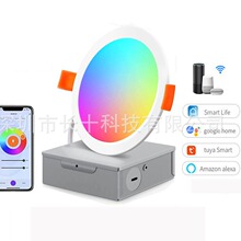 跨境专供RGBCW超薄吸顶灯WIFI涂鸦智能面板灯12W智能调光调色筒灯