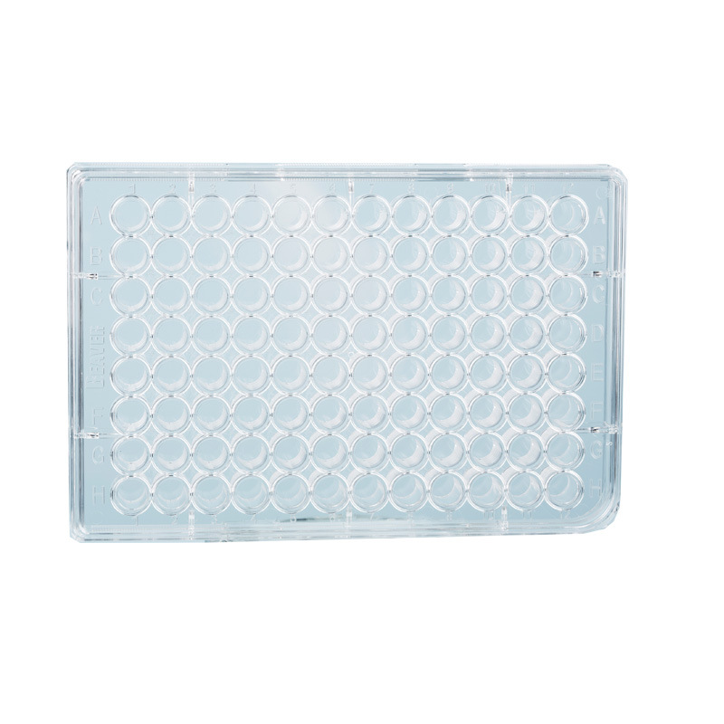 海狸Beaver TCT细胞培养12孔板灭菌 细胞贴附力强高稳定性40112