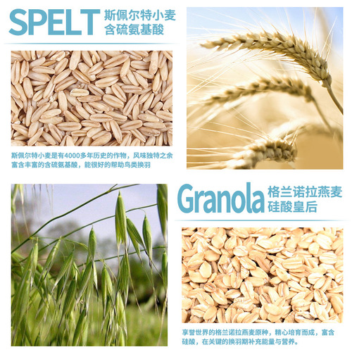 Chongshangtian bulk bird food parrot feed oil sunflower bird feed parrot food bird food bird food feed