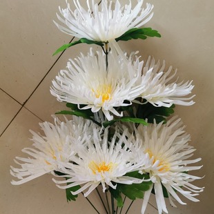 18cm�ջ�9�佁���������廨������