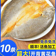 �S�~���_�����r����S���~������S�~���r��С�S�~�������ð��Ʒ