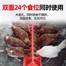 �u������ιʳ��ˮ���L����ˮ��һ�wʳ���u���Zιʳ��ϻ\�B�uʳ��