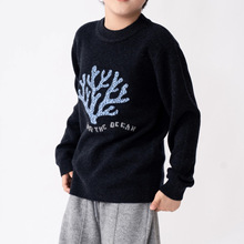 �ﶬɺ���Ứ�D��100%����ëᘿ���ͯë�� ���s��ůͯ�b�A�Ië��