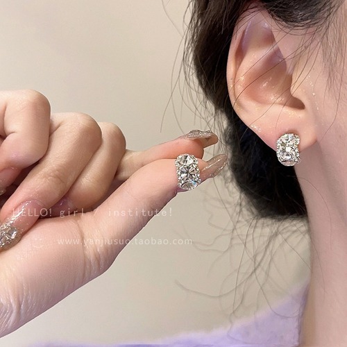 Korean niche exquisite zircon earrings for women, new Western-style earrings, light luxury, high-end, versatile and popular earrings