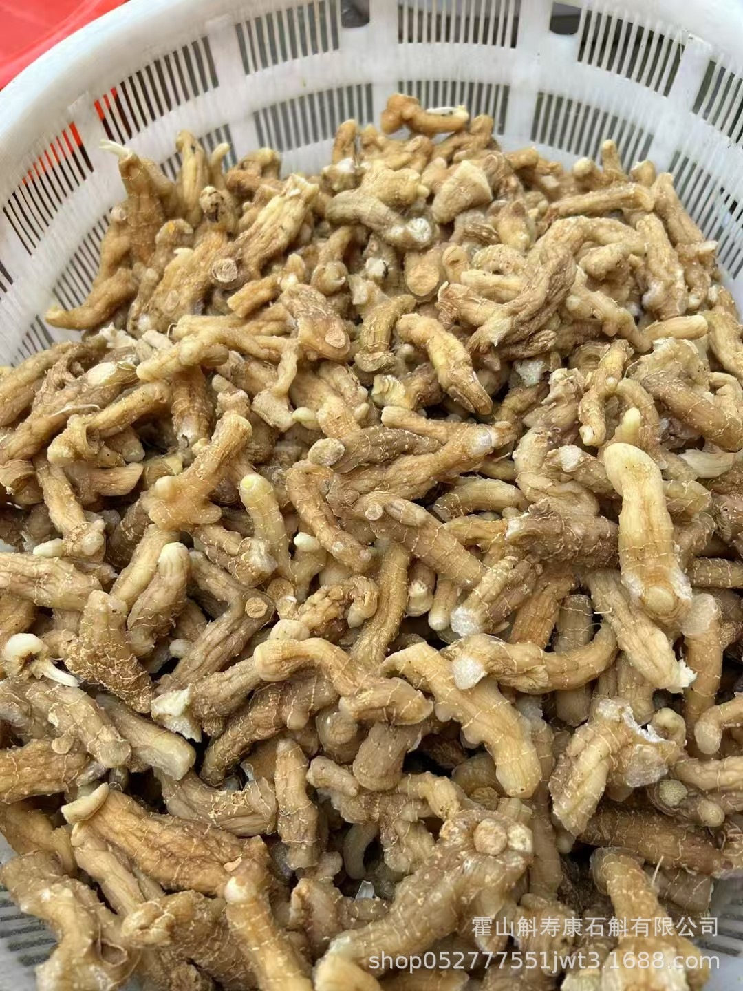 Dried Polygonatum Rhizome Huang Jing 九蒸九晒 500g TCM Herbal Tea and Soup Ingredient quality and texture