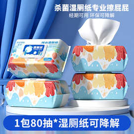 湿厕纸80抽大包清洁湿巾私处护理擦屁股湿纸巾便携湿巾纸可降解