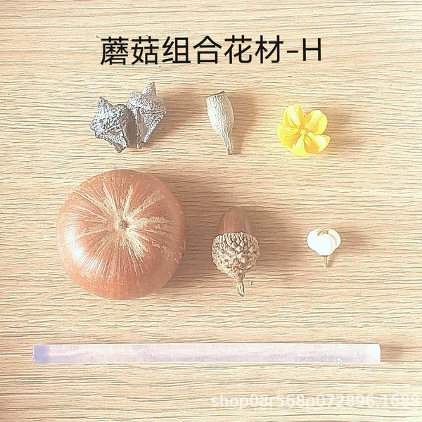 Materials set with clove mushrooms
