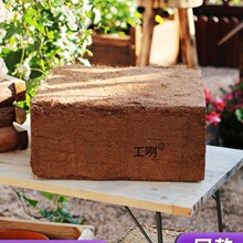 Ҭ�u�I�B���N��ͨ����Ó�}Ҭ����KҮ�u�����������B�������Nֲ��