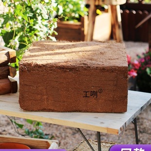 Ҭ�u�I�B���N��ͨ����Ó�}Ҭ����KҮ�u�����������B�������Nֲ��