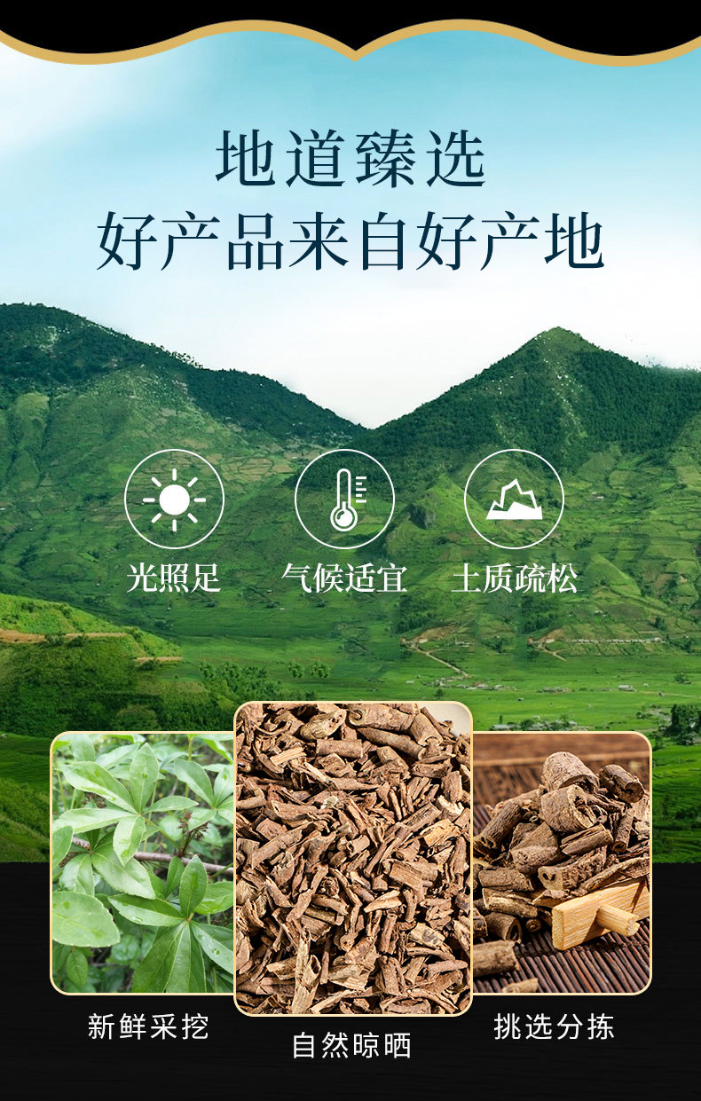 Wu Jia Pi (Acanthopanax gracilistylus) — Dried Food Herb Bark, Nan Wu Jia, Custom Powder Available overview