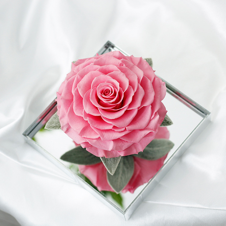 Flor preservada, producto terminado, rosa gigante acrílica, flor real al por mayor, regalo de San Valentín para novia, degradado cielo estrellado