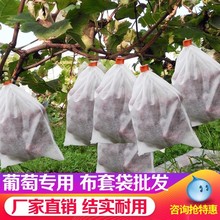 无纺布葡萄套装水果新型防虫防水防雨桃子梨子羊角蜜防鸟果袋套袋