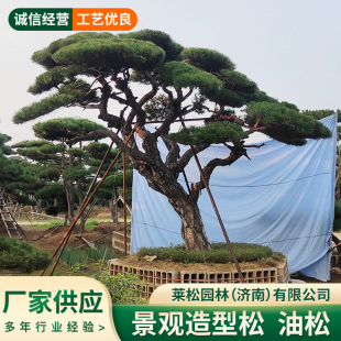 ���ɏS�ҬF؛Ʒ�N ͥԺ��·�@�־G�������;��ɶ�����������