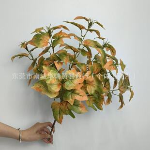 7�^36Ŀ�ع��~����ֲ�Դ�^�S��Ҏ����Ӵ����F؛���滨��ƺ