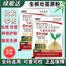 生根粉壮苗发根剂果树冲施肥植物通用花卉移栽树木扦插快速生根剂