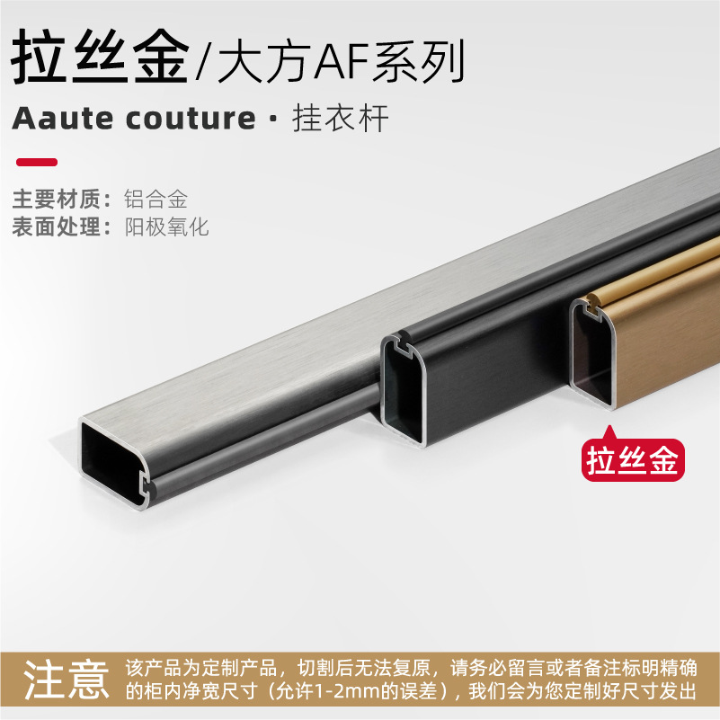 [dafang af] clothes rail-brushed gold