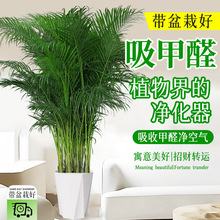 �ļ��������ڸ��FҬ�Ӵ��;Gֲ�����҃ȿ͏d�k���Һ��B�辰����ȩ