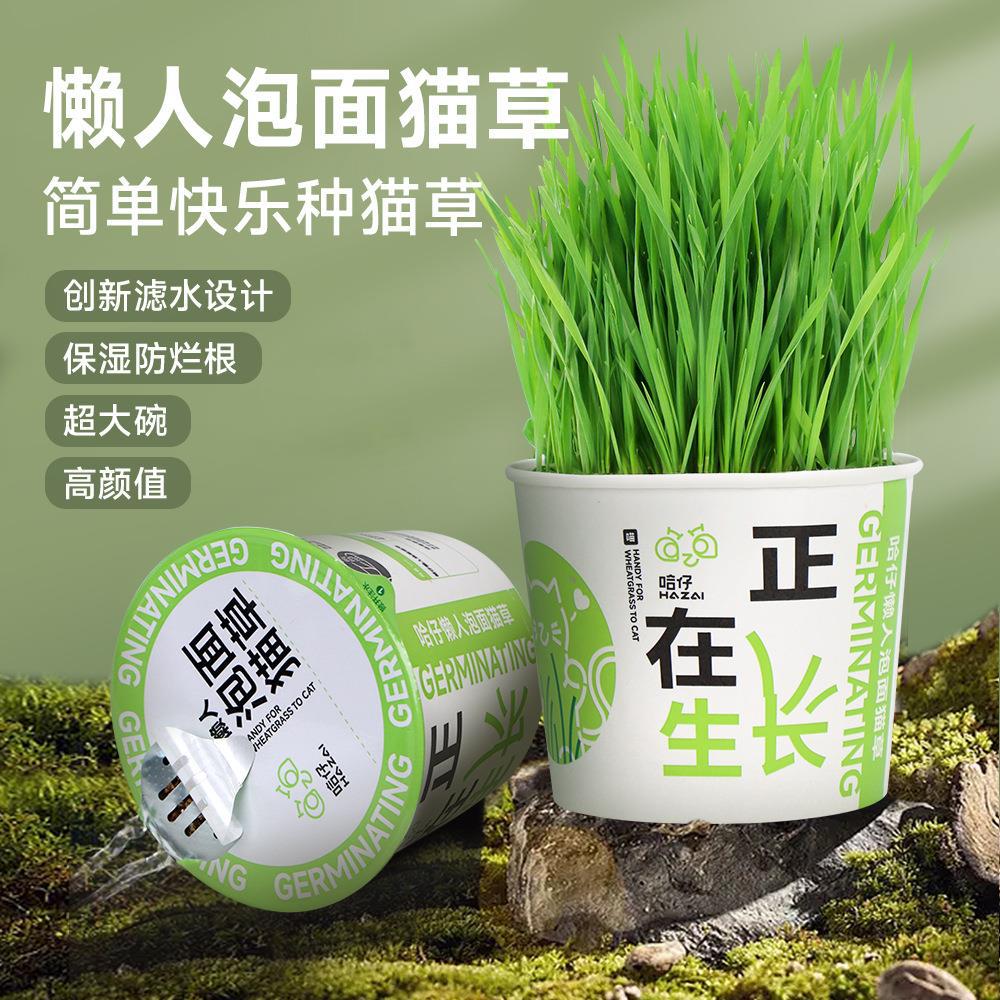 Fideos instantáneos perezosos, hierba para gatos, gato escupiendo bolas de pelo, semillas de trigo en macetas, cultivo de suelo, pelaje, bolas de pelo, bocadillos para gatos enlatados