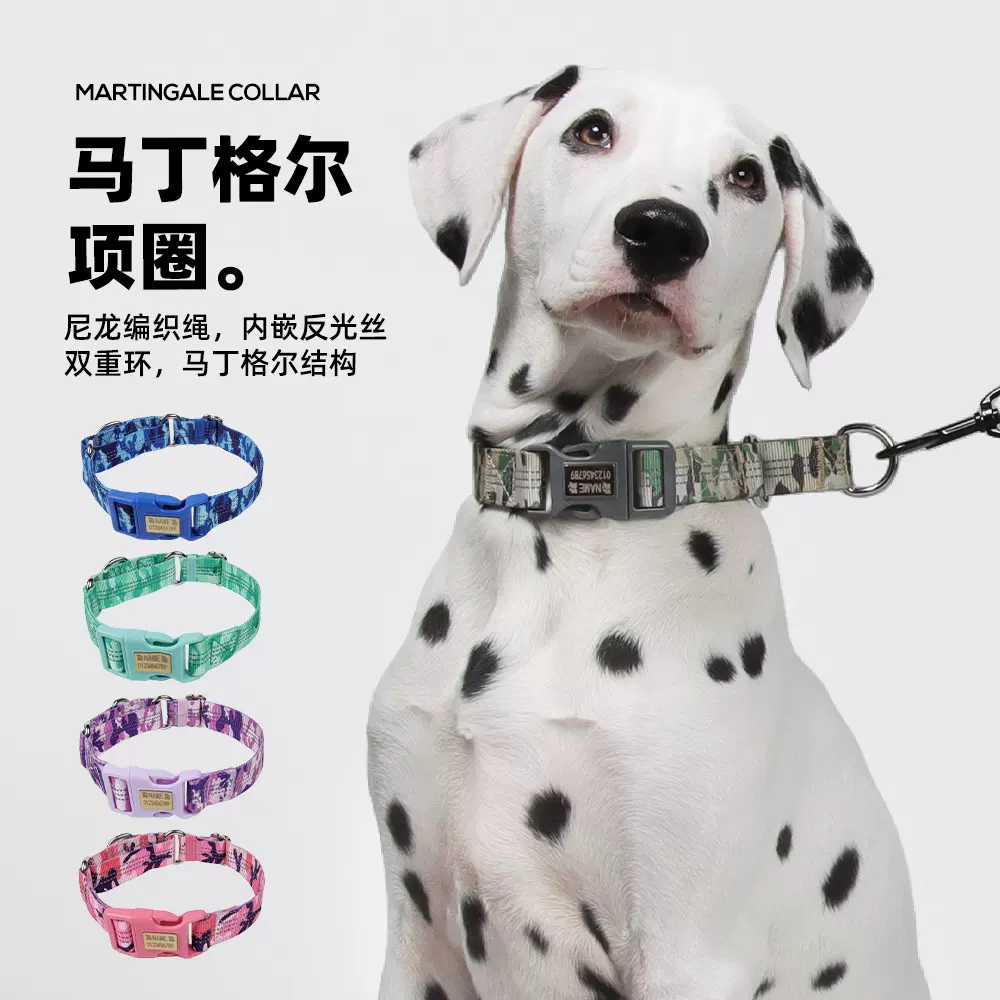 跨境狗狗项圈亚马逊马丁格尔防爆冲脖圈刻字夜间反光防丢宠物项圈