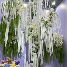 ������׼ٻ�ë�������zɭϵ��Y�����������đ��Ⲽ�÷���С�t��