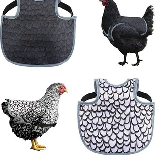 防水鸡鞍围裙Chicken Saddles for hens
