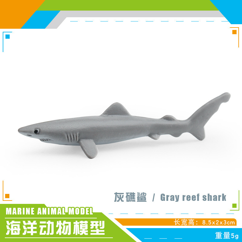 BL - 5337 Tiburón de arrecife gris 5g