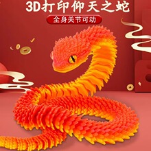 �羳���N3d��ӡ���¿�����ȫ���P���Ʉ����w����ҹ��ģ�ͶY��