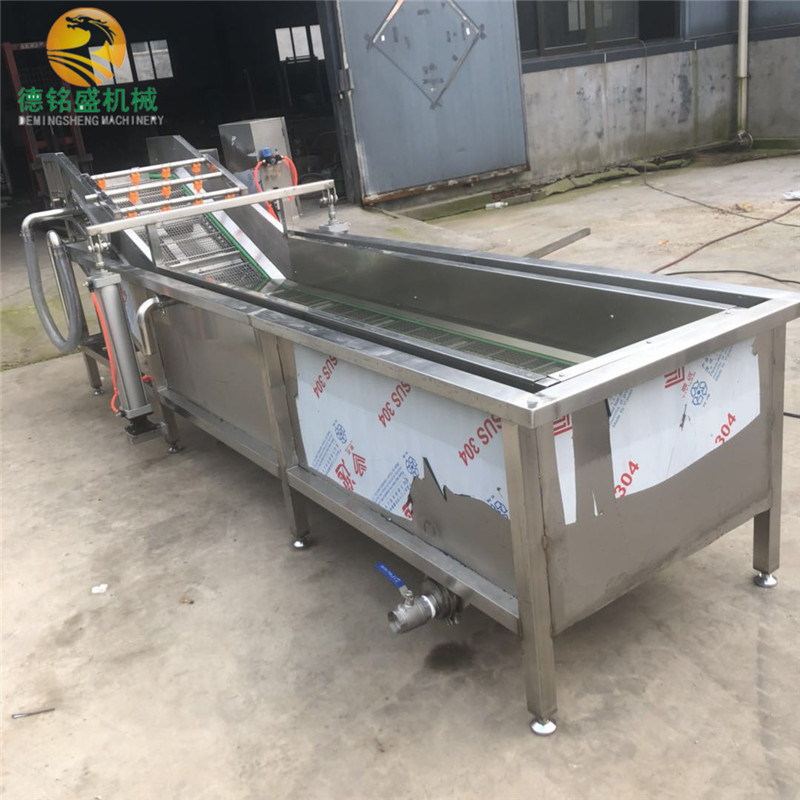 新款水产小河虾清洗生产线 带鱼段气泡清洗机 德铭盛鱼类清洗设备