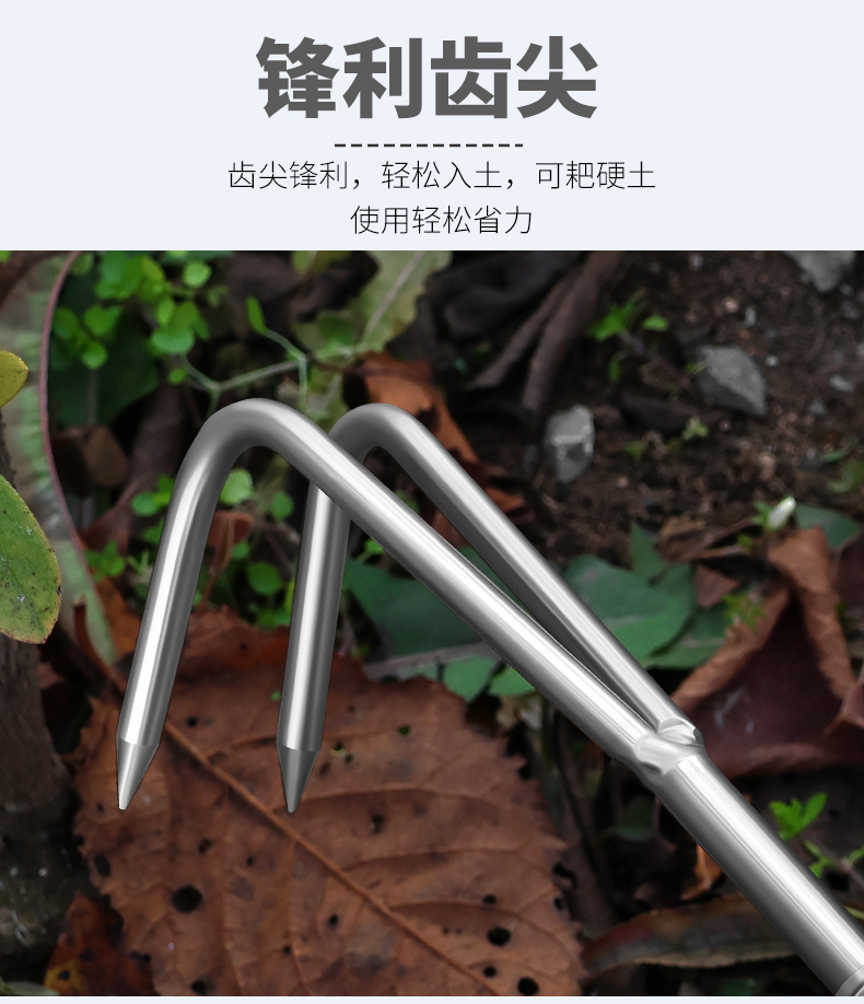 园艺耙 (6).jpg