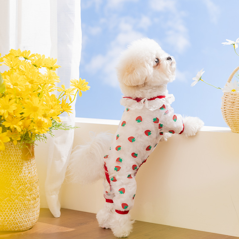 Primavera y verano impresa delgada fresca y transpirable tela de malla de cuatro patas que osos peluche ropa de perro y gato ropa de mascotas al por mayor image 2
