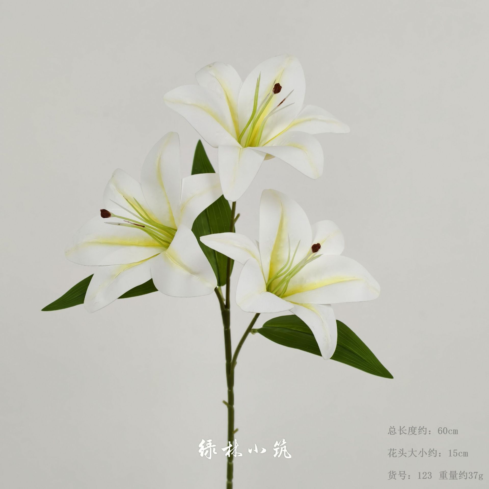 품목번호 123-삼두백합(유백색)