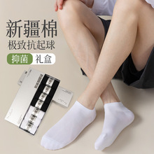 �ļ�����͸�������������Ů��ɫ�Ͱﴬ������͸���������������