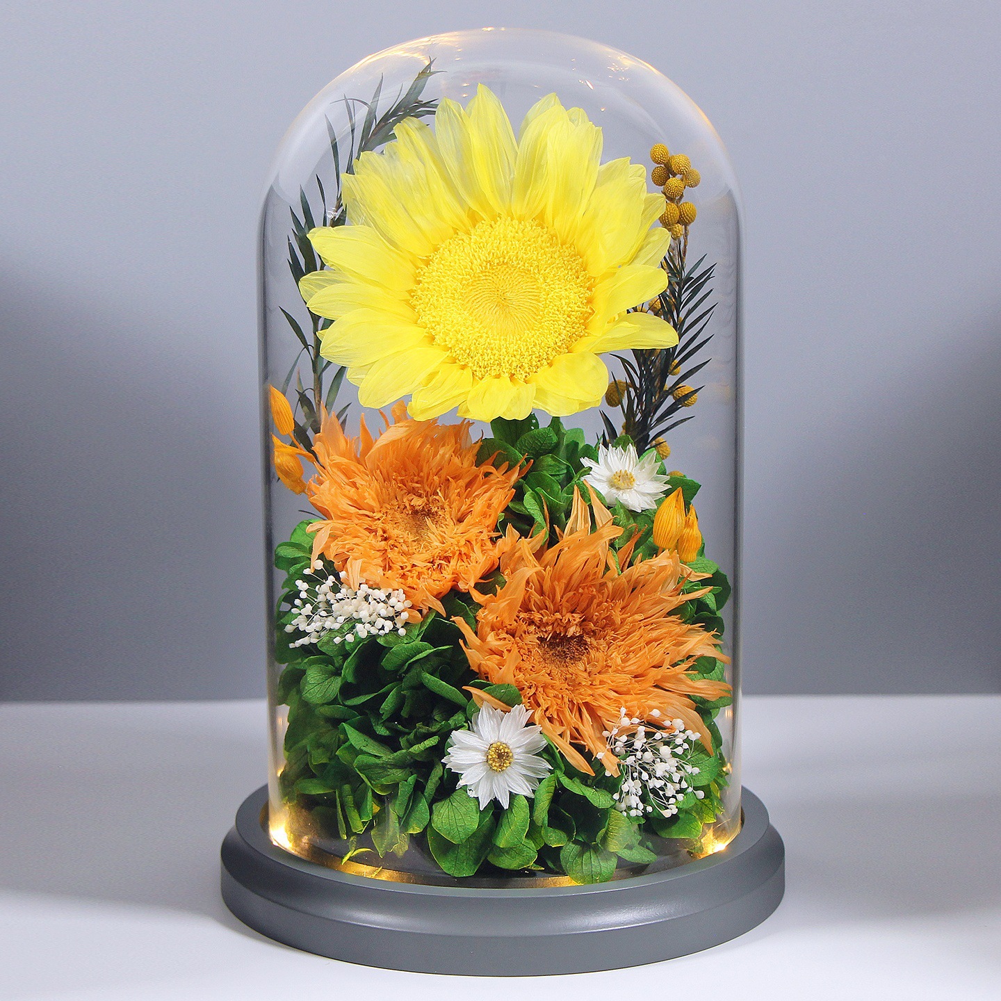 Girasoles al por mayor flor inmortal cubierta de vidrio flores de sol verdaderas flores de escritorio decoración de alta calidad regalos creativos