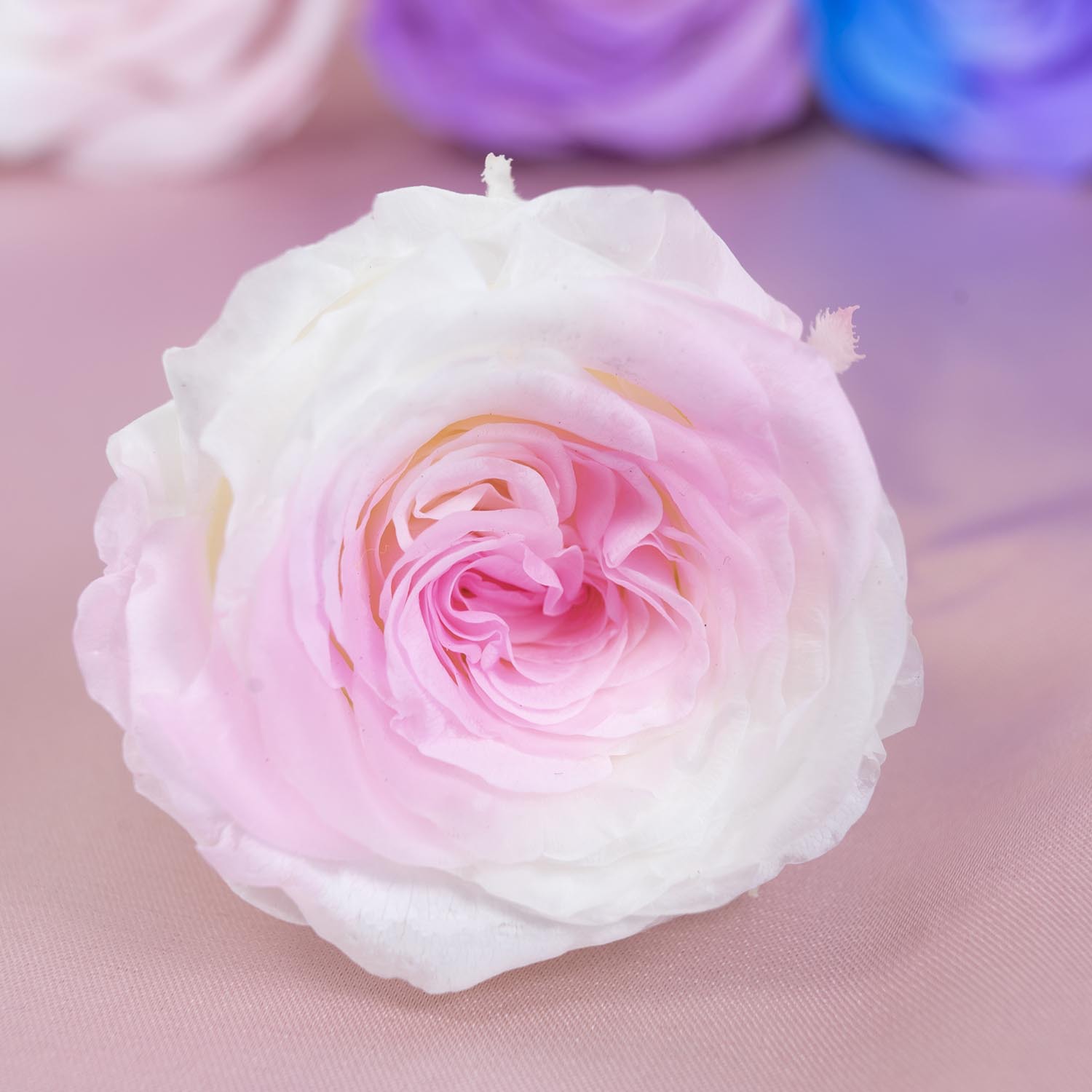 Yunnan Yongsheng flor fábrica al por mayor azul y blanco gradiente color conservado flores DIY flores eterna Rose cabeza grado A