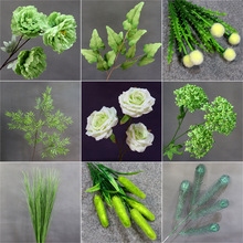 ¿Gֲֲݻcb~廨YɭϵĻY