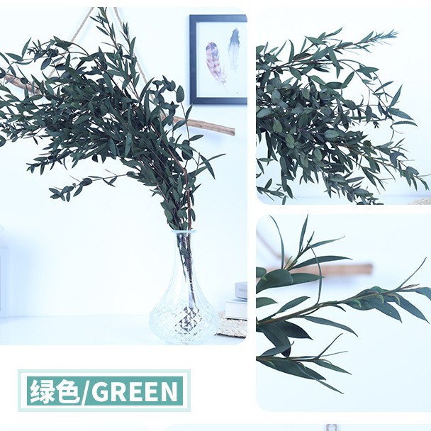 녹색 얇은 잎 1다발 - 드라이플라워백