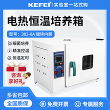 늟�a�����B�䌍���΢���：���N�Ӱlѿ����ù���a����Ҍ���