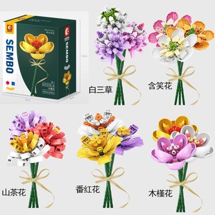ɭ���eľ�����x�ķ��t����Ц��������ľ�Ȼ��ջ�ɽ�軨520�Y��
