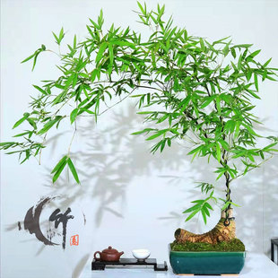 �W�tС�~�{��ѿ�҃�������������䘶����GֲͥԺ���@�辰����