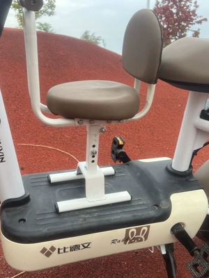 Seat: Motorcycle child seat
