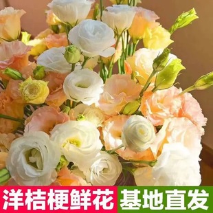 ��۹��r����������r��ֱ�������c�����û��[�ؔ��r���Fُ؛Դ