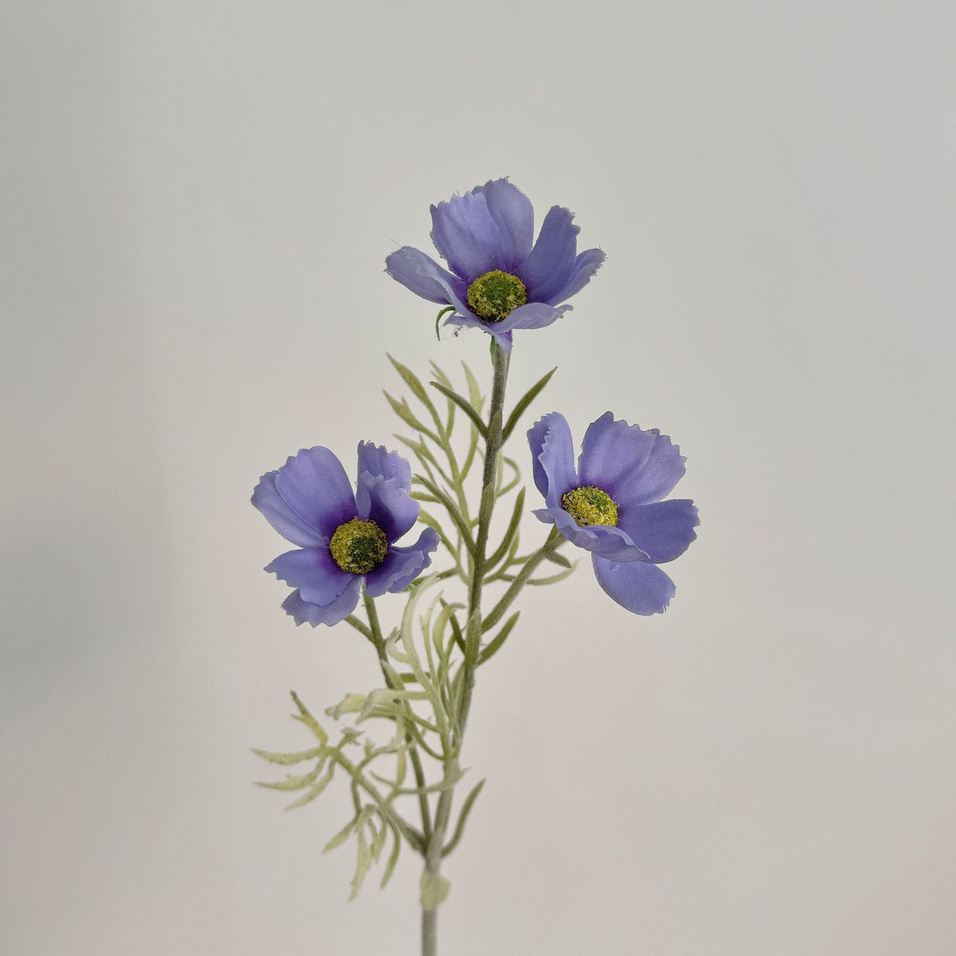 Ins Cosmos Gesang flor artificial decoración del hogar coreano decoración flor falsa mesa de centro mesa de comedor ventana decoración floral