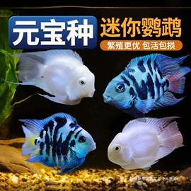 过家家玩具;积木类;餐厨具玩具